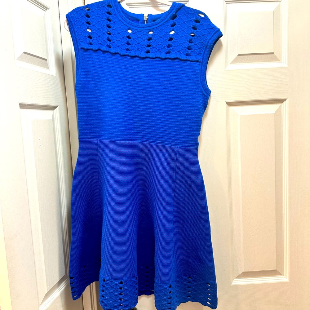Ted Baker cobalt blue skater dress